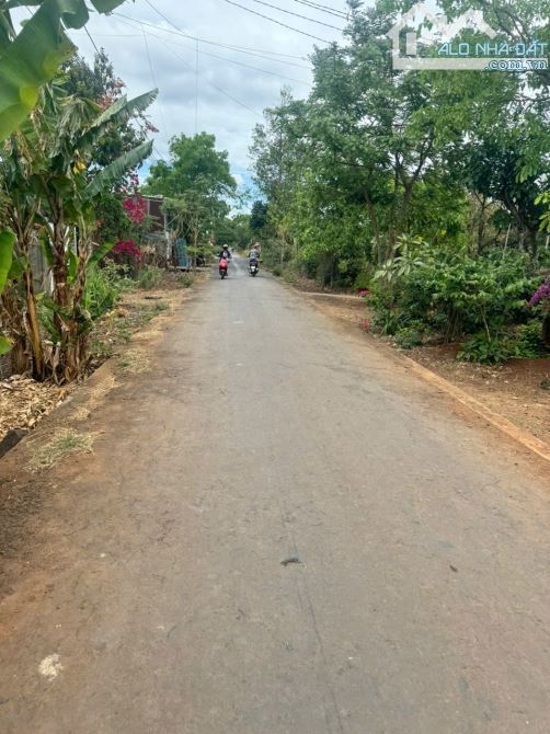 🌈🌈Bán Lô Đất Mặt Tiền Trục Lộ 2 Buôn Ky - Phường Thành Nhất                ☀️☀️☀️☀️ *Thô - 2