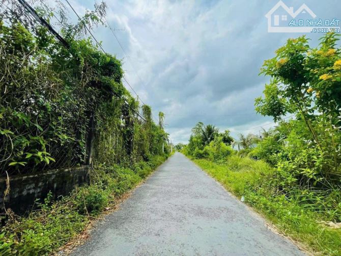 Đất Nhựa Trục Thẳng Sân Bóng Duy Khổng Gần Đại Học Trà Vinh - 2