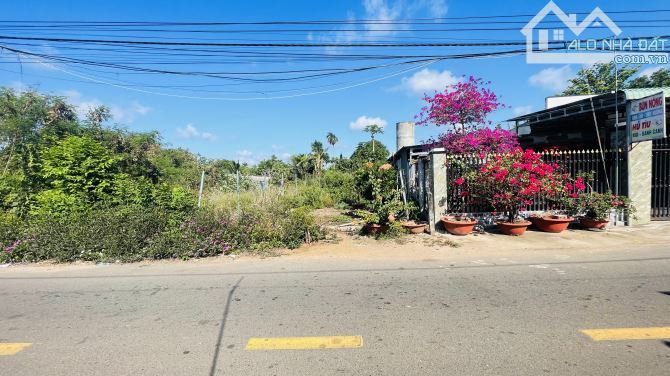 BÁN ĐẤT THỊ TRẤN ĐẤT ĐỎ BÀ RỊA VŨNG TÀU - 3