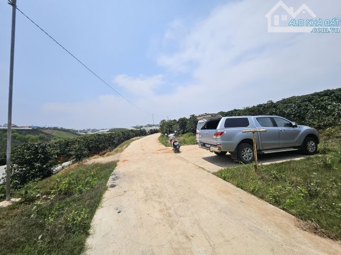 Bán lô đất nông nghiệp chuyển đổi xây dựng được trên đồi chè Cầu Đất – Đà Lạt.1000m² 3ti - 3