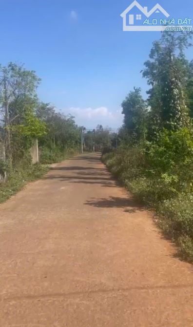 EaKtur -CưKuin lô đất sào gốc 2 mặt tiền tha hồ phân lô - 4