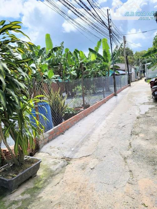 LÔ ĐẤT GIÁ RẺ CỰC ĐẸP NGAY NÚT GIAO VÀNH ĐAI 3 KẾT NỐI SÂN BAY LONG THÀNH, FULL THỔ CƯ - 4