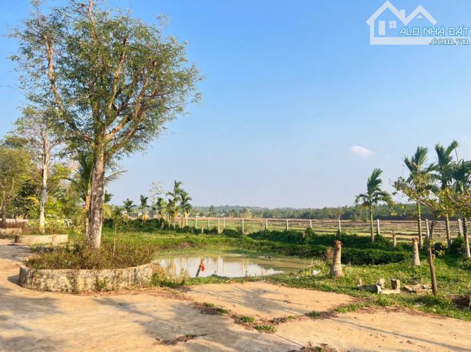 Đất thôn 5 Eabar view cánh đồng gần trường học cách trung tâm phố 8km - 4