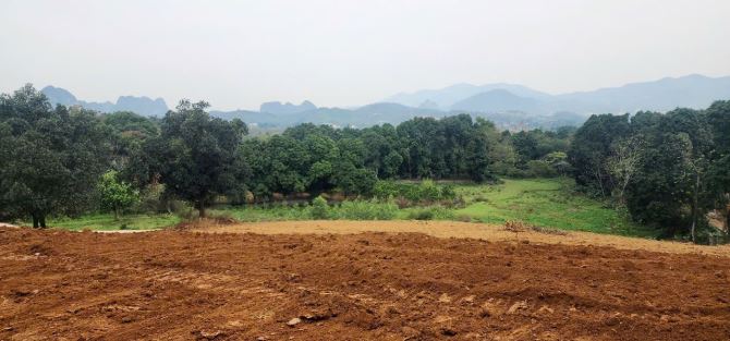 BÁN MẢNH ĐẤT RỘNG 4,4Ha ĐẤT ĐẸP MIỄN CHÊ - 4