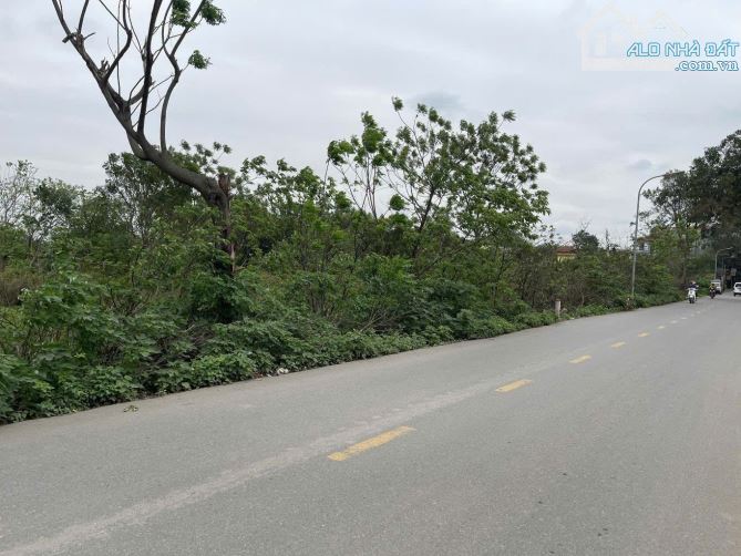 HƠN 1 TỶ XÍU CÓ 337M2 ĐẤT TCLN MẶT ĐƯỜNG ÔTÔ TRÁNH - MẶT TIỀN HOÀNH TRÁNG - 3