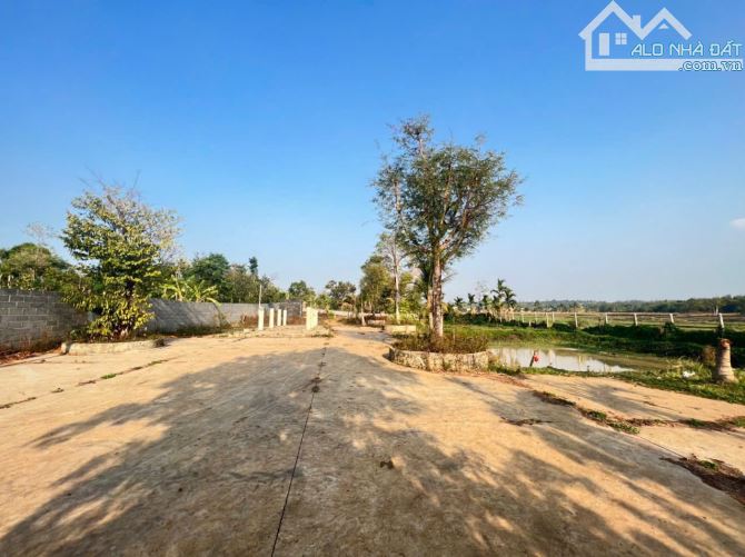 Đất thôn 5 Eabar view cánh đồng gần trường học cách trung tâm phố 8km - 5