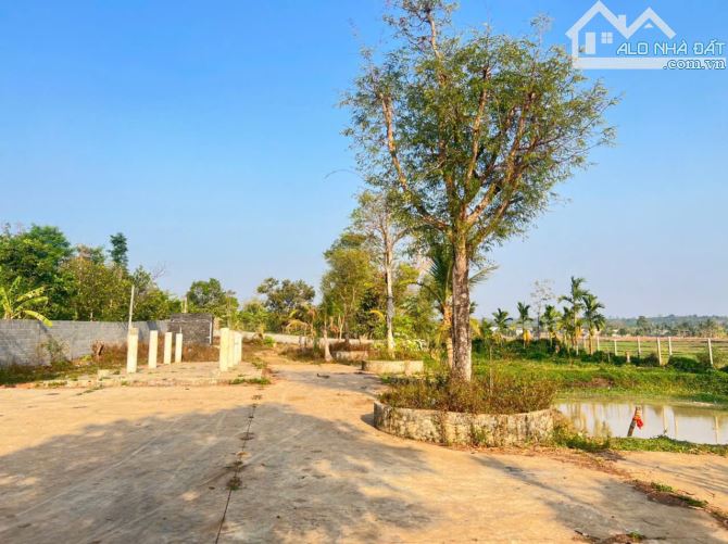 Đất thôn 5 Eabar view cánh đồng gần trường học cách trung tâm phố 8km - 6