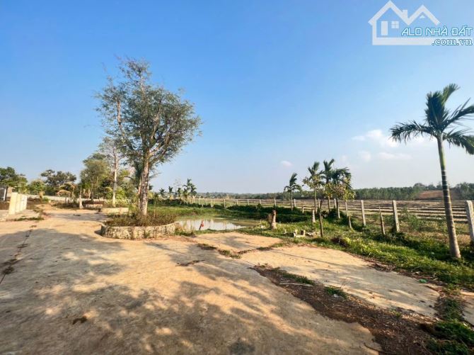 Đất thôn 5 Eabar view cánh đồng gần trường học cách trung tâm phố 8km - 7