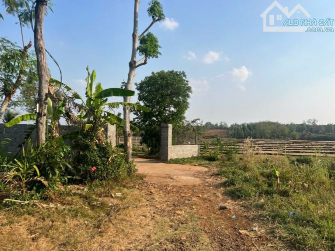 Đất thôn 5 Eabar view cánh đồng gần trường học cách trung tâm phố 8km - 8