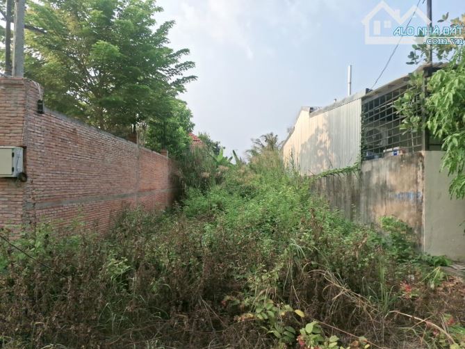 Đất đẹp 120m2(7x17.2m) hẻm xe hơi khu dân cư 274 Nguyễn Văn Tạo Long Thới Nhà Bè, 4.6 tỷ - 2