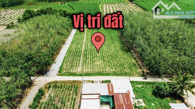 ✨ Ngang 5.9M x Dài 40M, Full ONT. Đường thông, Nhà Dân đông, gần KCN Hiệp Thạnh - 489TRIỆU