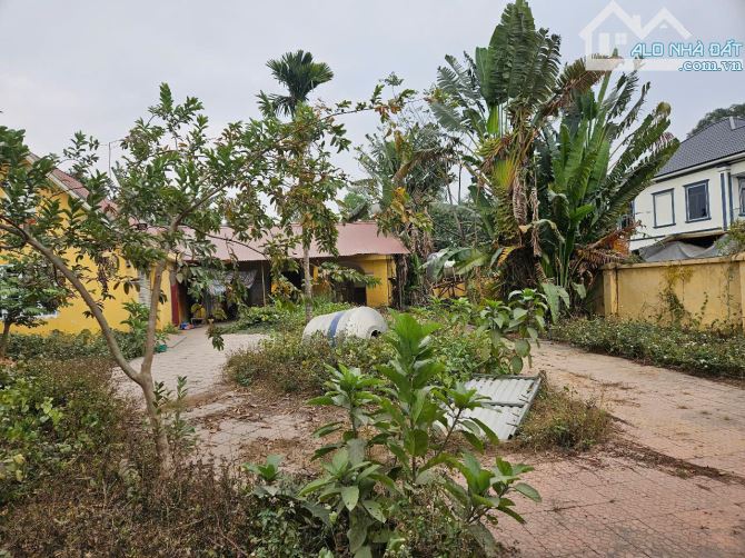 BÁn đất siêu hiếm ở cổ Đông 5.015m2 xây biệt phủ hoặc làm homestay