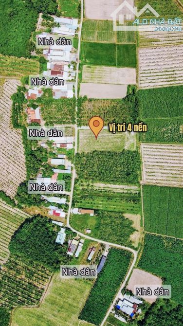 ✨ Ngang 5.9M x Dài 40M, Full ONT. Đường thông, Nhà Dân đông, gần KCN Hiệp Thạnh - 489TRIỆU - 11