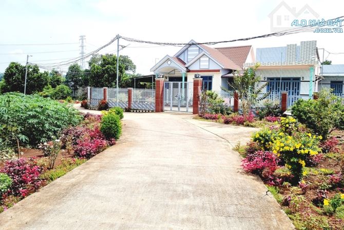 CHÍNH CHỦ BÁN ĐẤT ĐẸP XÃ BÀU CẠN LONG THÀNH GẦN SÂN BAY QUỐC TẾ LONG THÀNH - 1