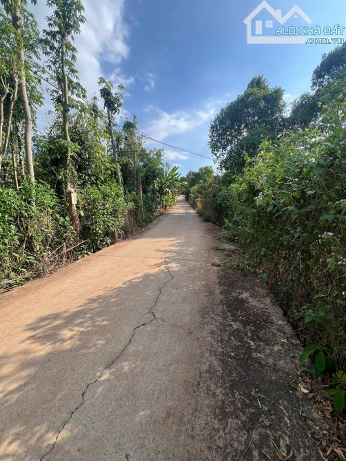 🆘BÁN VƯỜN TRÁI CÂY XUÂN MỸ CẨM MỸ ĐỒNG NAI  ———————————————- ✅DT: 3000m2 Phủ hồng ✅ Hỗ Tr - 1