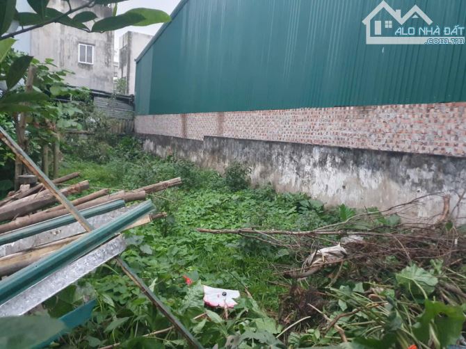 🔥 BÁN ĐẤT GIANG BIÊN, LONG BIÊN – 105M² – Ô TÔ NGỦ TRONG NHÀ – GIÁ CHỈ 11.6 TỶ! 🔥 - 1