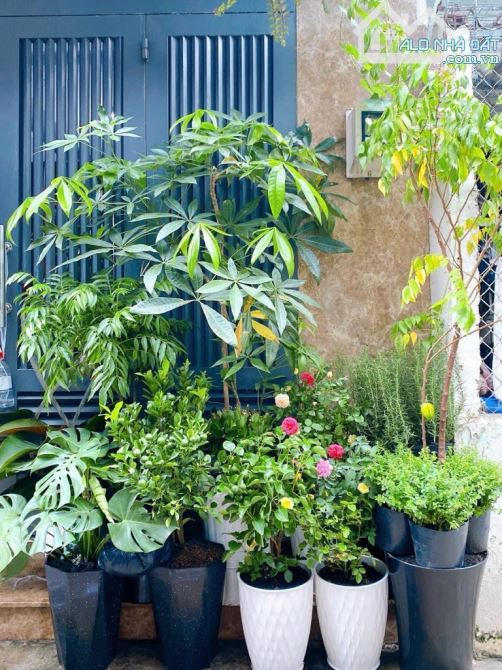 Tân Bình - giáp quận 11 - đường nhựa 5m - 4 tầng - 44m2 - chỉ 6 tỷ nhẹ - 1