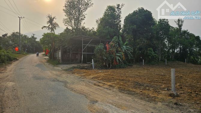Siêu phẩm xây nhà vườn 2500m2 có 300m2 đất ở đường nhựa gần suối mát - 2