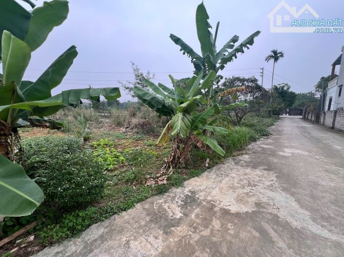 Bán 100m2 Đất Thuộc Đô Thị Vệ Tinh Xuân Mai- Sát KCN Nhuận Trạch Hòa Bình - 2