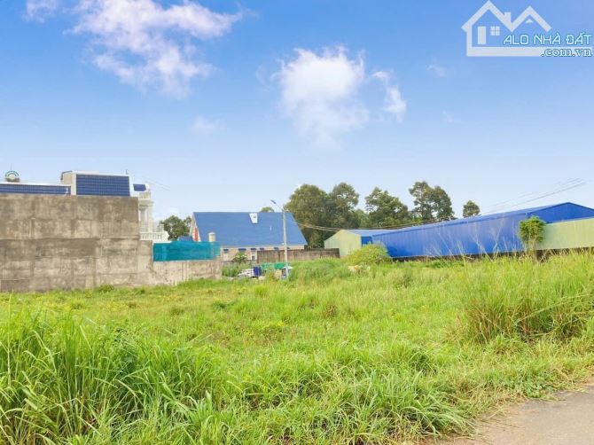 Bán Đất 2 Mặt Tiền đường 30m, Bình Minh-TB. 7x32 shr, thổ cư. Cách đường Võ Nguyên Giáp - 2