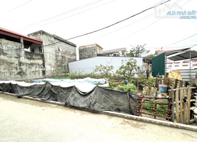 Bán lô góc 116m2, mt 8,7; đầu làng Đình Trung, Xuân Nộn, giáp khu CN Đông Anh, oto đỗ cửa - 2