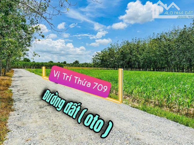 ✨ Ngang 5.9M x Dài 40M, Full ONT. Đường thông, Nhà Dân đông, gần KCN Hiệp Thạnh - 489TRIỆU - 2