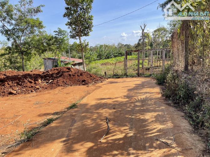 💥Đất TC 400m2,Tổng 4,2 sào,View Lúa,Cực Đẹp,ngay Eco City,hẻm Nguyễn Chí Thanh - 2