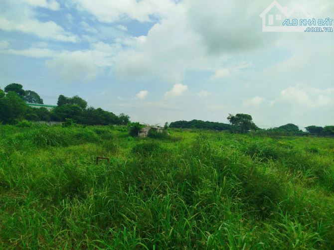 🌟 CƠ HỘI ĐẦU TƯ – KHU ĐẤT 17.500M² ĐÃ CÓ CHỦ TRƯƠNG LÀM DỰ ÁN NHÀ PHỐ 🌟 - 3