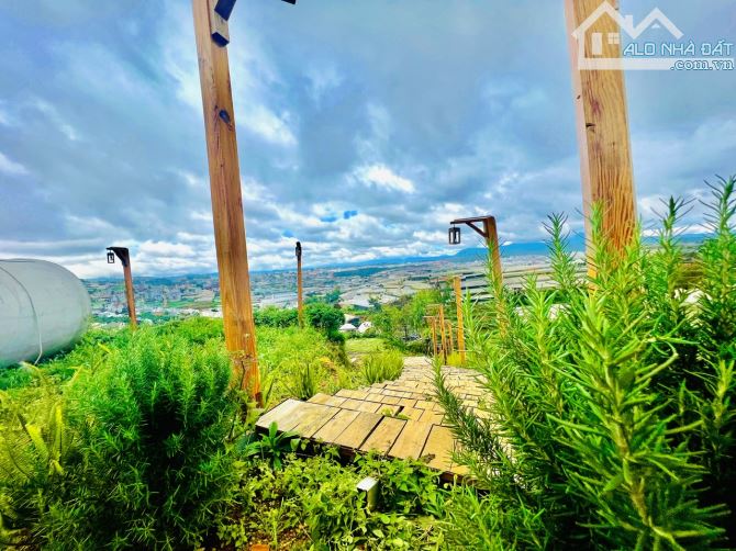BÁN ĐẤT VIEW ĐẸP XÓM LÈO SĂN MÂY VIEW THUNG LŨNG ĐÈN P11 ĐÀ LẠT - 2