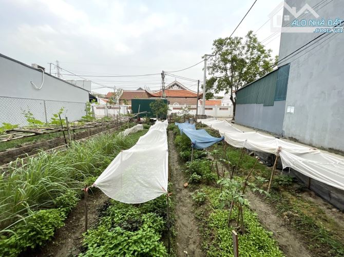 Bán lô góc 116m2, mt 8,7; đầu làng Đình Trung, Xuân Nộn, giáp khu CN Đông Anh, oto đỗ cửa - 3