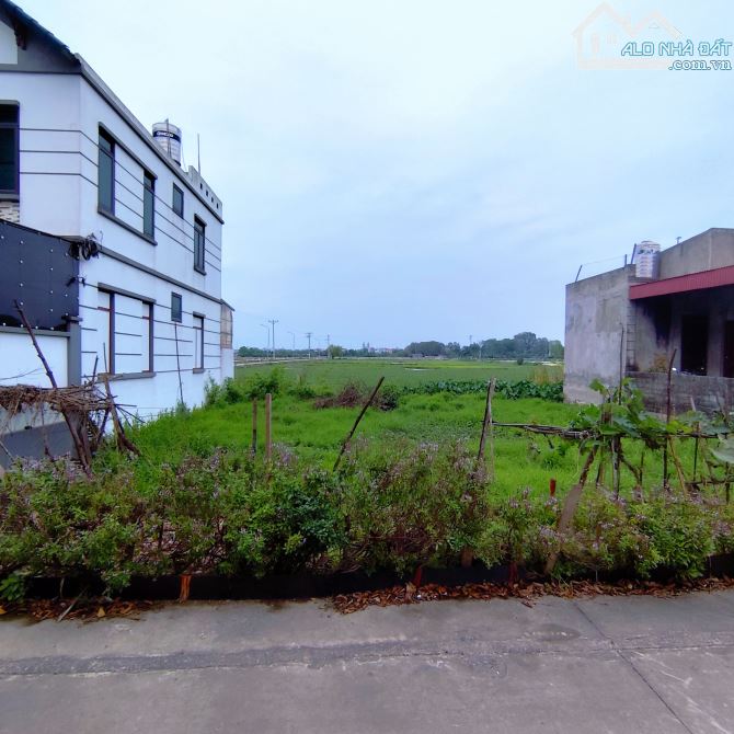 Đất Tri Trung bám trục Cienco5,2 mặt đường trước sau,đối diện khu QHĐG,ô tô chạy quanh đất - 2