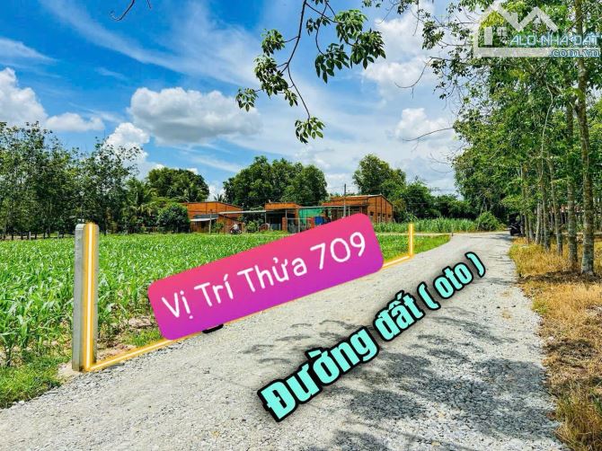 ✨ Ngang 5.9M x Dài 40M, Full ONT. Đường thông, Nhà Dân đông, gần KCN Hiệp Thạnh - 489TRIỆU - 3
