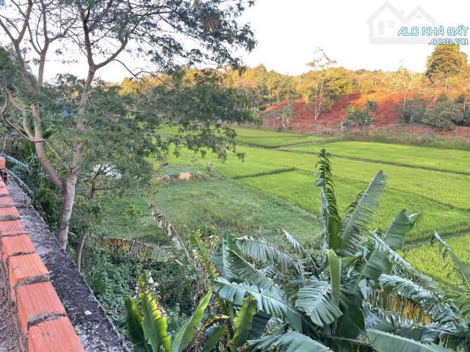 💥Đất TC 400m2,Tổng 4,2 sào,View Lúa,Cực Đẹp,ngay Eco City,hẻm Nguyễn Chí Thanh - 3
