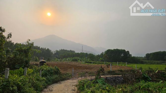 Siêu phẩm xây nhà vườn 2500m2 có 300m2 đất ở đường nhựa gần suối mát - 4