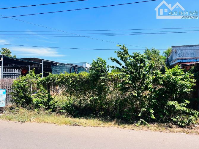 🔺Mặt tiền Trịnh Hoài Đức- tt Đất Đỏ Cách TL44A- ngân hàng- Trường học 500m Dân cư ở kín b - 4
