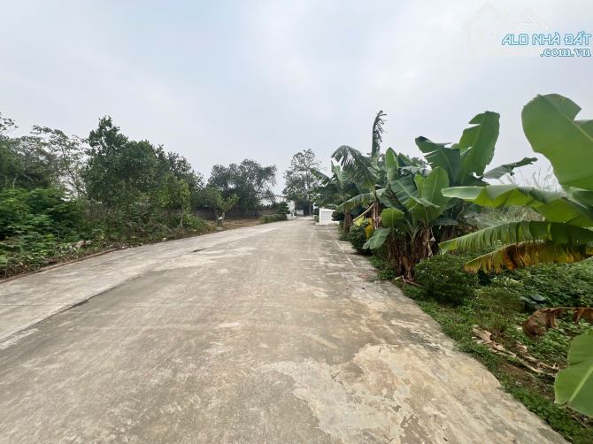 Bán 100m2 Đất Thuộc Đô Thị Vệ Tinh Xuân Mai- Sát KCN Nhuận Trạch Hòa Bình - 4
