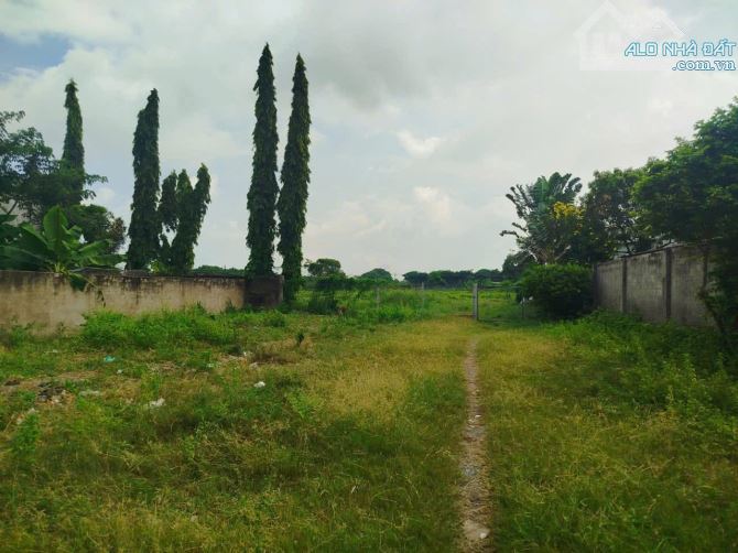 🌟 CƠ HỘI ĐẦU TƯ – KHU ĐẤT 17.500M² ĐÃ CÓ CHỦ TRƯƠNG LÀM DỰ ÁN NHÀ PHỐ 🌟 - 4