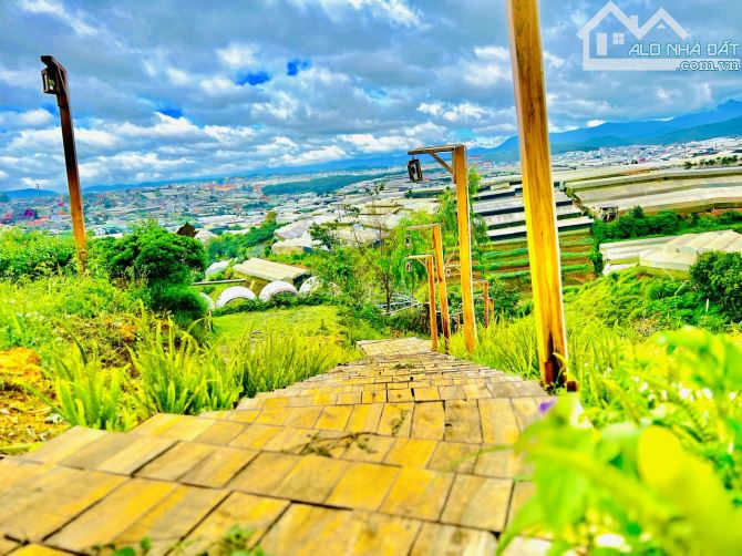 BÁN ĐẤT VIEW ĐẸP XÓM LÈO SĂN MÂY VIEW THUNG LŨNG ĐÈN P11 ĐÀ LẠT - 3