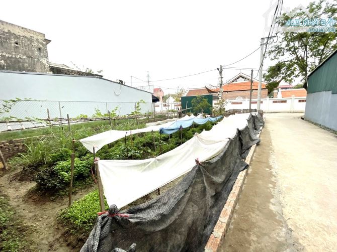 Bán lô góc 116m2, mt 8,7; đầu làng Đình Trung, Xuân Nộn, giáp khu CN Đông Anh, oto đỗ cửa - 4