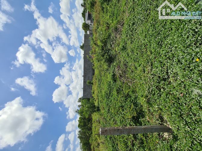 🌳 Cần chuyển nhượng lại nền đất 2 Mặt đường Lê Văn Tám như hình .  👍 Trước là Lê Văn Tám - 4
