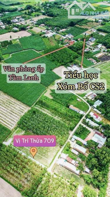 ✨ Ngang 5.9M x Dài 40M, Full ONT. Đường thông, Nhà Dân đông, gần KCN Hiệp Thạnh - 489TRIỆU - 4