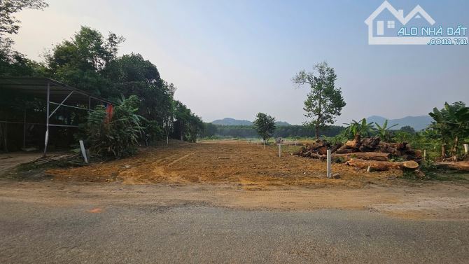 Siêu phẩm xây nhà vườn 2500m2 có 300m2 đất ở đường nhựa gần suối mát - 6