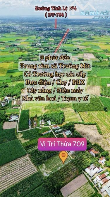 ✨ Ngang 5.9M x Dài 40M, Full ONT. Đường thông, Nhà Dân đông, gần KCN Hiệp Thạnh - 489TRIỆU - 7