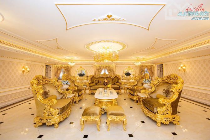 Bán biệt thự khủng, với diện tích 1200m2 tại P10, Quận 6 - 7