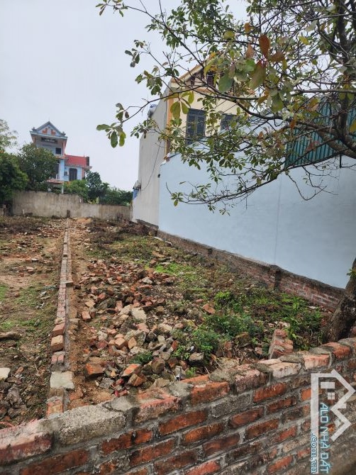 TRỤC CHÍNH THÔN ĐẠC ĐỨC ,XÃ PHÙ LINH . ĐÓN ĐẦU VÕ NGUYÊN GIÁP KÉO DÀI VÀ TỔ HỢP Y TẾ - 2