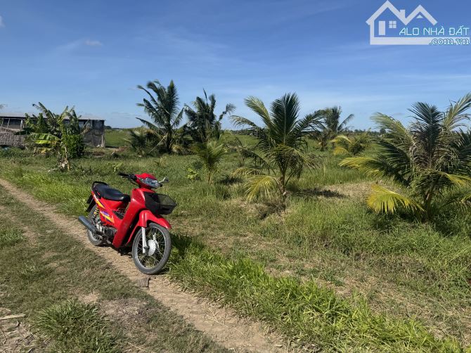 Bán 1,7 Công Đất Vườn Dừa MT Bờ Kênh 4m Phường 9