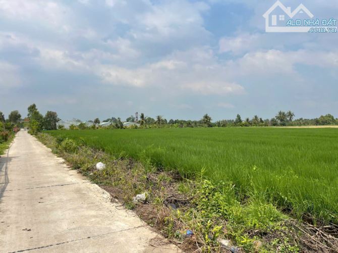 1,5 hecta có 300m2 thổ đất 3 mặt tiền ĐT 824 ấp 7 Lương Hòa, Bến Lức, Long An giá 45 tỷ - 2