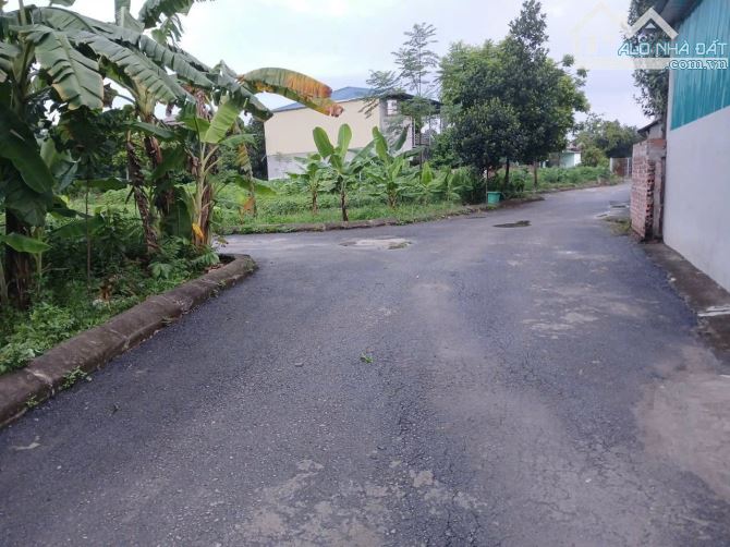 Hàng hiếm lô góc 78m Phúc Tiến giá rẻ hơn lô thường 2 giá sát trục Hồ Tây Ba Vì - 2