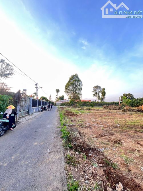 Bán lô đất đẹp gần ngã tư Tân Triều giá F0 đầu tư - 3