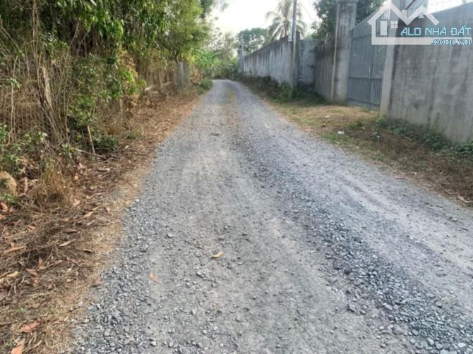 BÁN LÔ ĐẤT VƯỜN NGAY KHU DÂN CƯ 2000M2(55MX37M) ĐƯỜNG THÔNG GẦN SÔNG ĐỒNG NAI CHỈ 1TY1 - 3